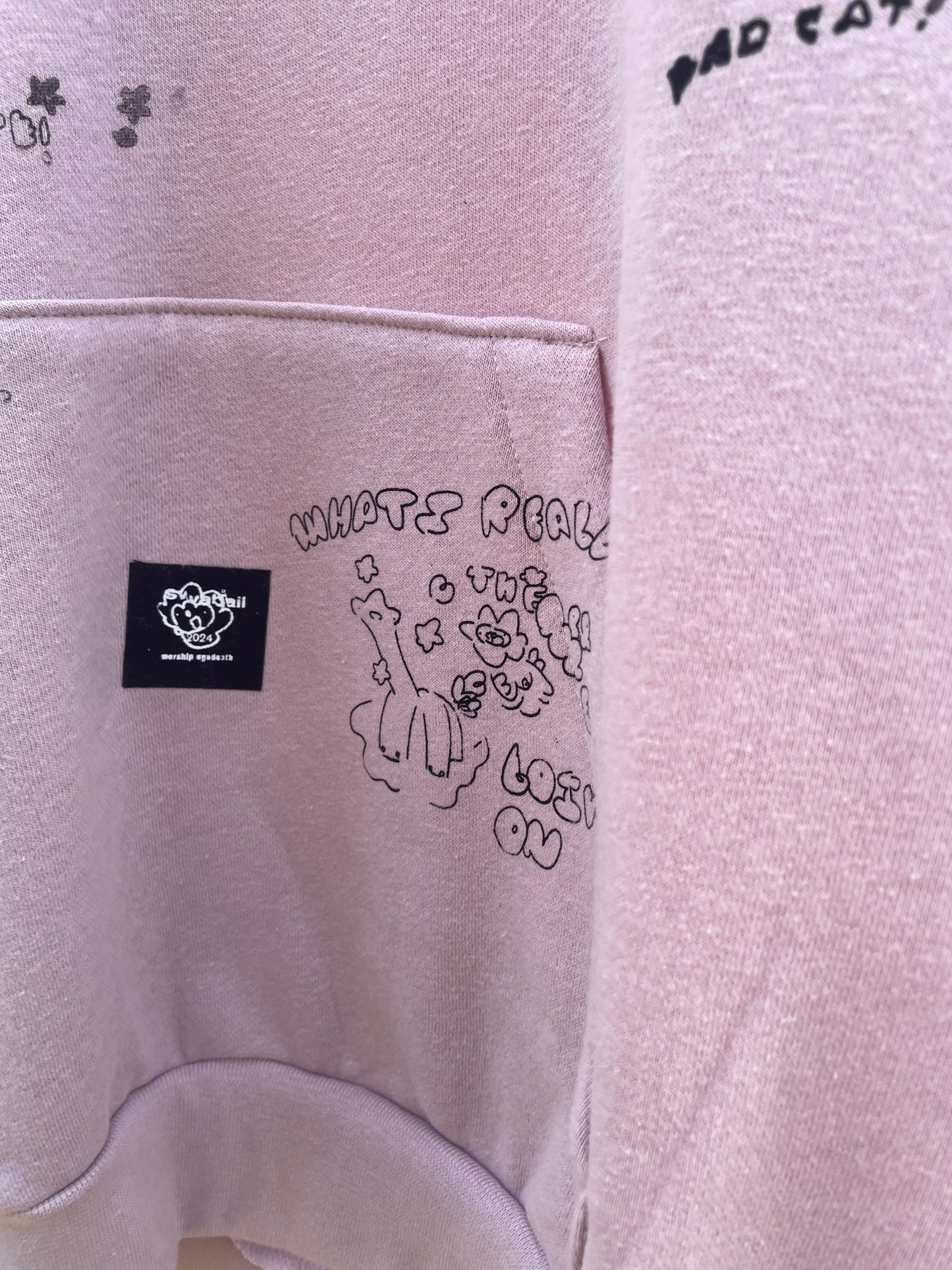 Pink Bad Cat