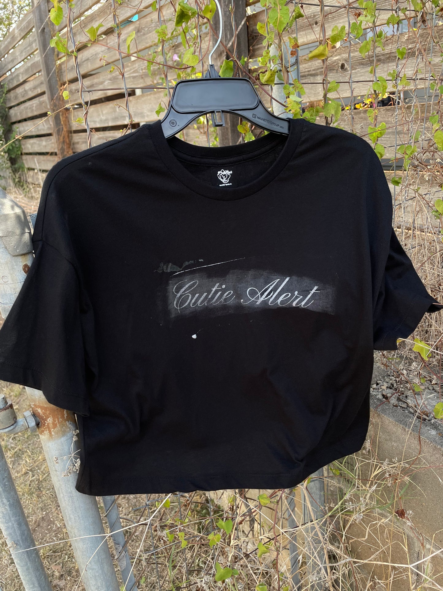 Bella-Cutie Alert | Medium
