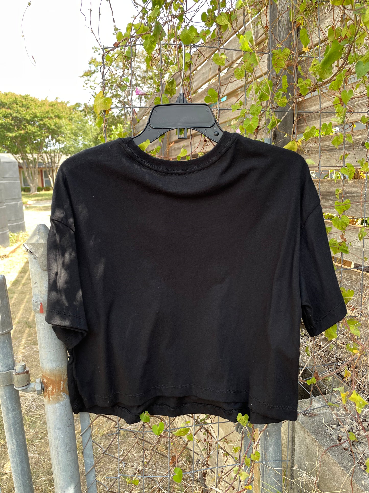 Bella-Cutie Alert | Medium