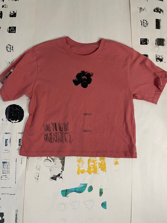 Rasberries V2